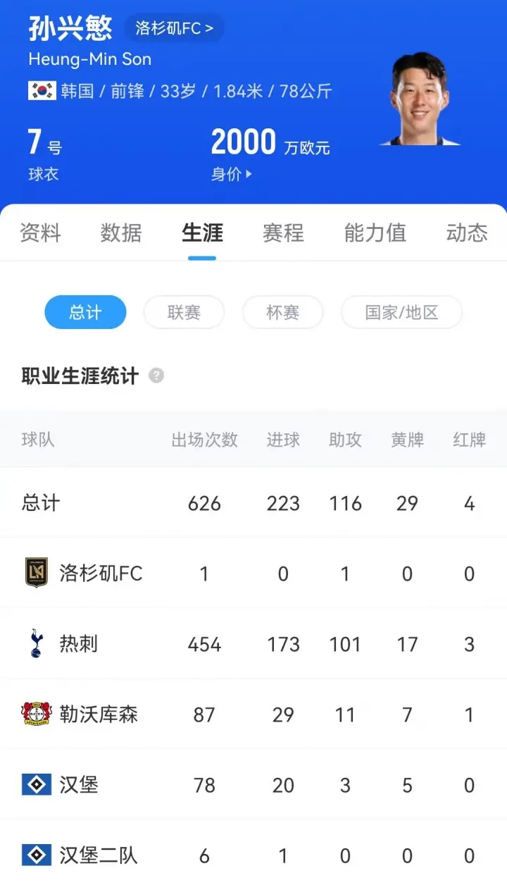 洛将整个球, https