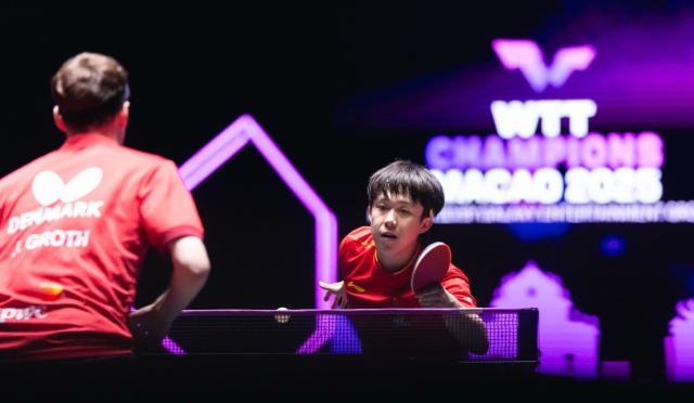 己的打法风, hs, fgs